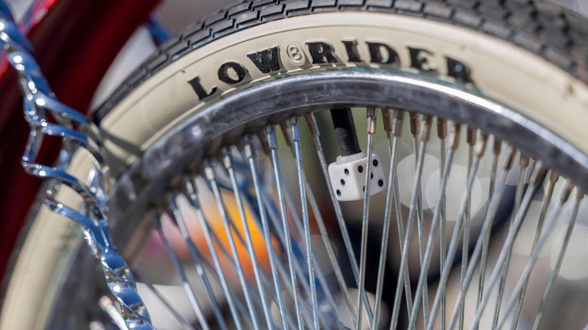 Photo gallery: See the lowrider bicycles built by students in